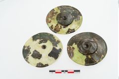 Foto von Bronzephalere (NHMW-PRAE-003459)